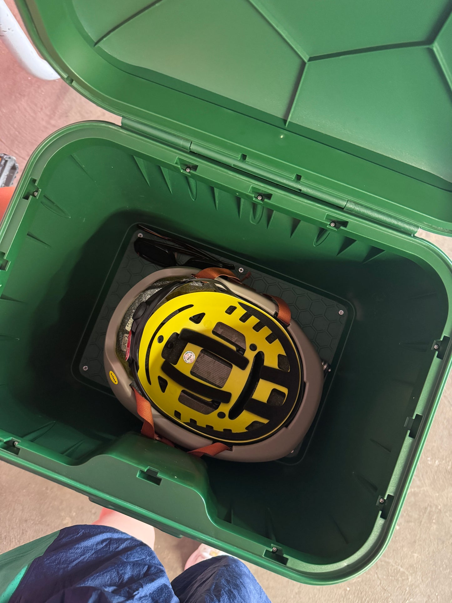 The Bike Trunk
